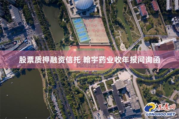 股票质押融资信托 翰宇药业收年报问询函