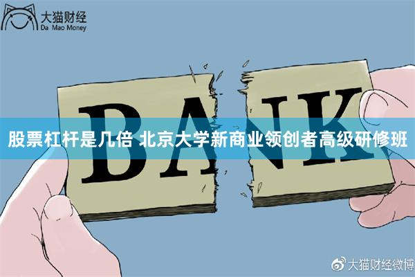 股票杠杆是几倍 北京大学新商业领创者高级研修班