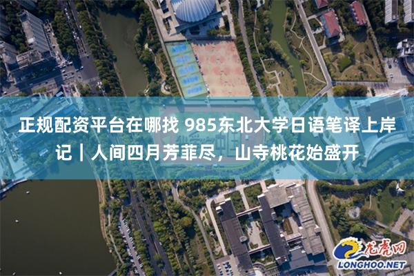 正规配资平台在哪找 985东北大学日语笔译上岸记｜人间四月芳菲尽，山寺桃花始盛开