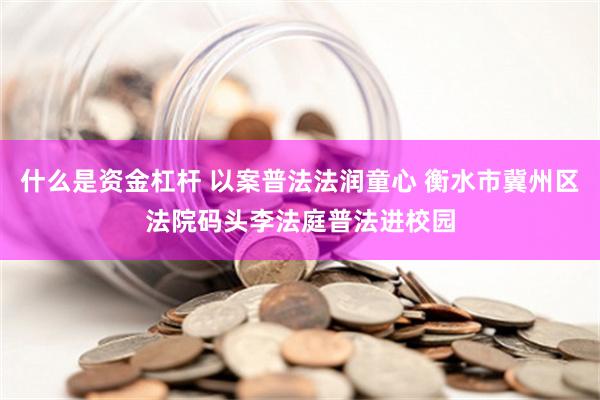 什么是资金杠杆 以案普法法润童心 衡水市冀州区法院码头李法庭普法进校园