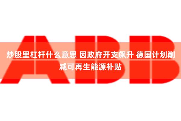 炒股里杠杆什么意思 因政府开支飙升 德国计划削减可再生能源补贴