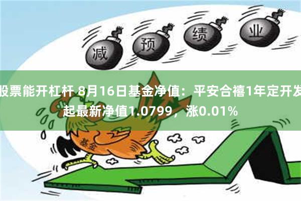 股票能开杠杆 8月16日基金净值：平安合禧1年定开发起最新净值1.0799，涨0.01%