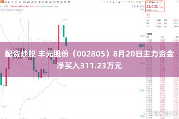 配资炒股 丰元股份（002805）8月20日主力资金净买入311.23万元