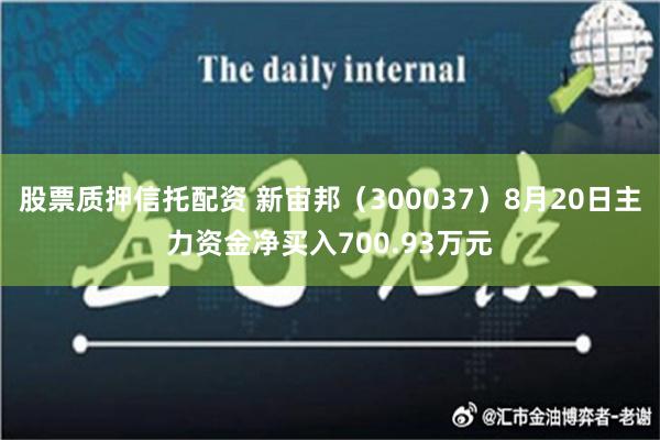 股票质押信托配资 新宙邦（300037）8月20日主力资金净买入700.93万元