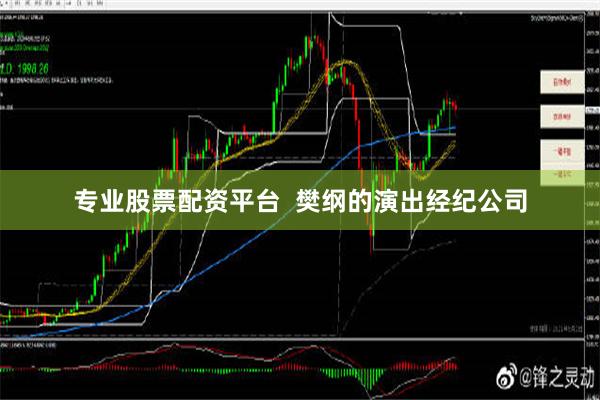 专业股票配资平台  樊纲的演出经纪公司