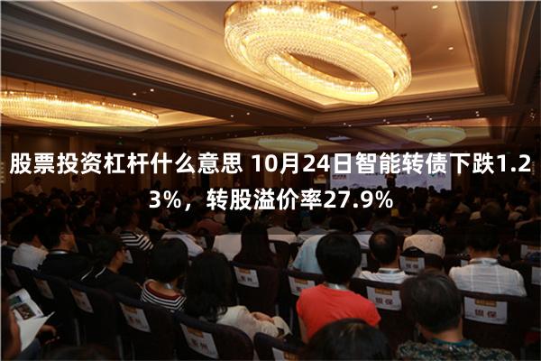 股票投资杠杆什么意思 10月24日智能转债下跌1.23%，转股溢价率27.9%