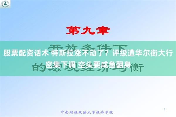 股票配资话术 特斯拉涨不动了？评级遭华尔街大行密集下调 空头要咸鱼翻身