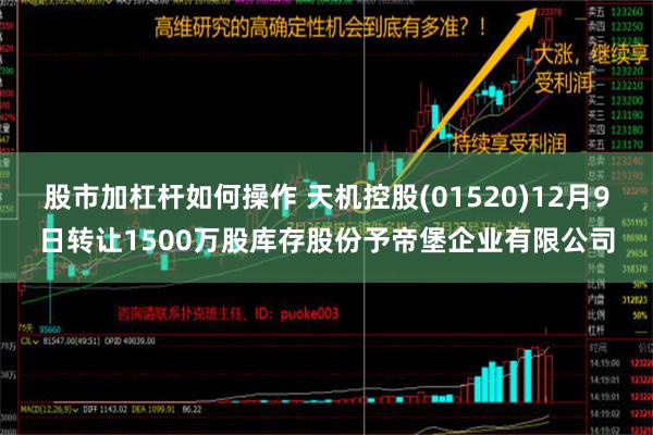 股市加杠杆如何操作 天机控股(01520)12月9日转让1500万股库存股份予帝堡企业有限公司