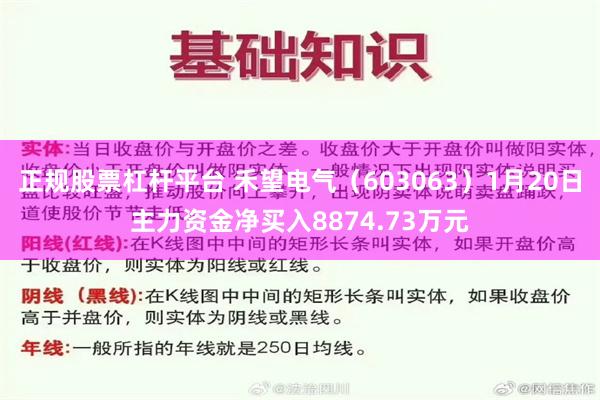 正规股票杠杆平台 禾望电气（603063）1月20日主力资金净买入8874.73万元