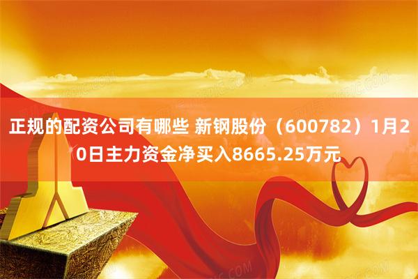 正规的配资公司有哪些 新钢股份（600782）1月20日主力资金净买入8665.25万元