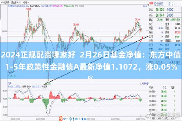 2024正规配资哪家好  2月26日基金净值：东方中债1-5年政策性金融债A最新净值1.1072，涨